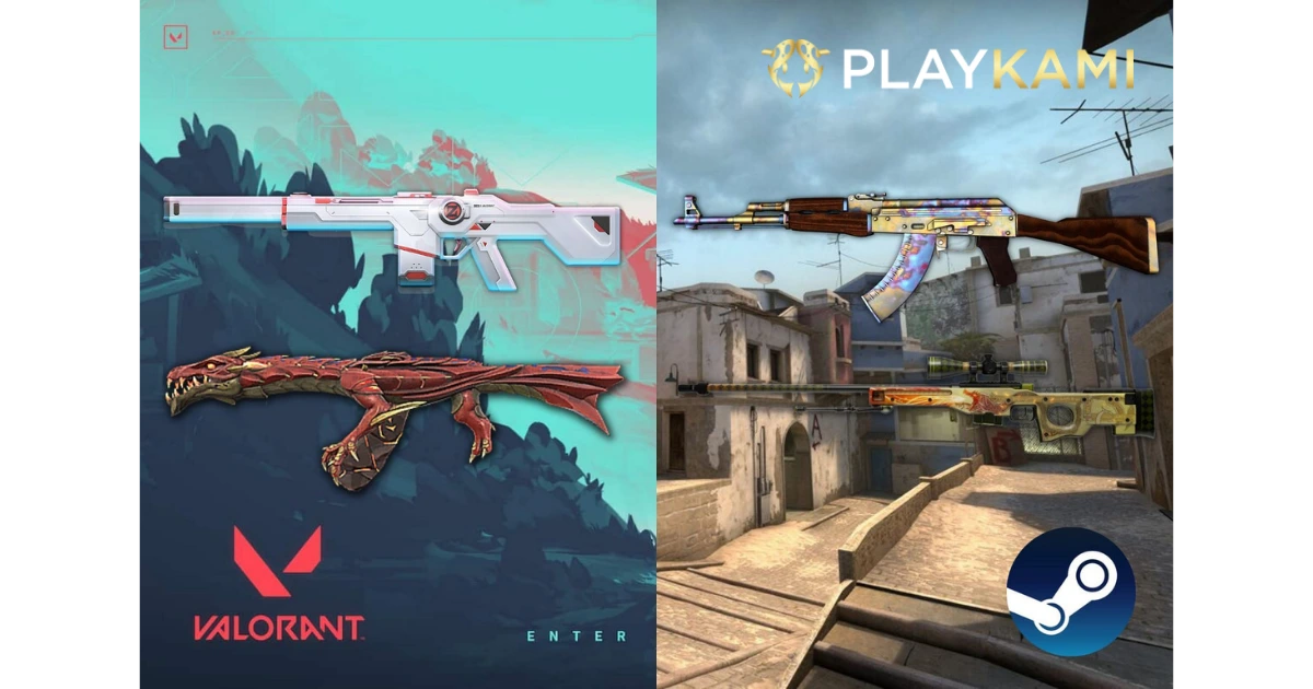 Valorant vs Counter-Strike PlayKami